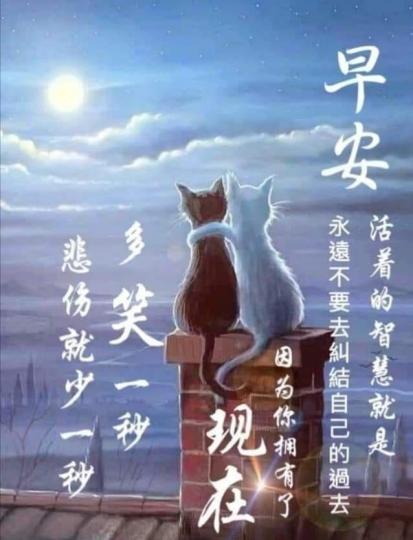 image%3A7894