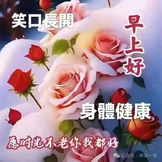 image%3A84823