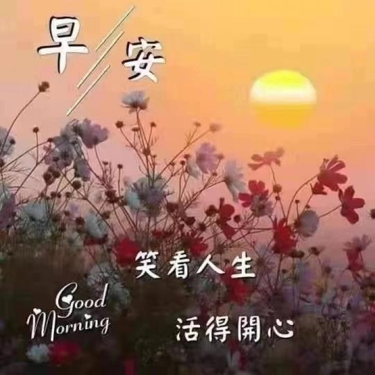 image%3A87481