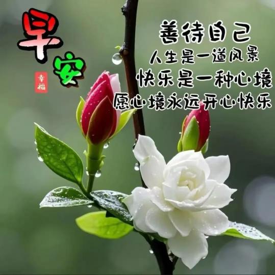 image%3A87899