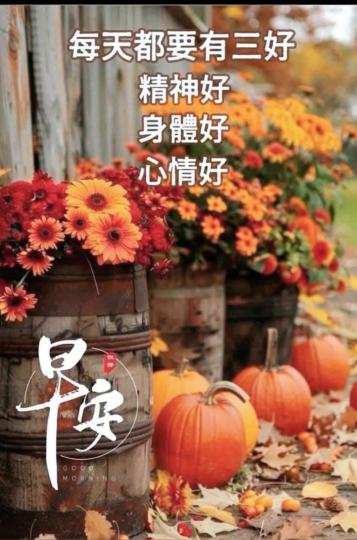 image%3A88768