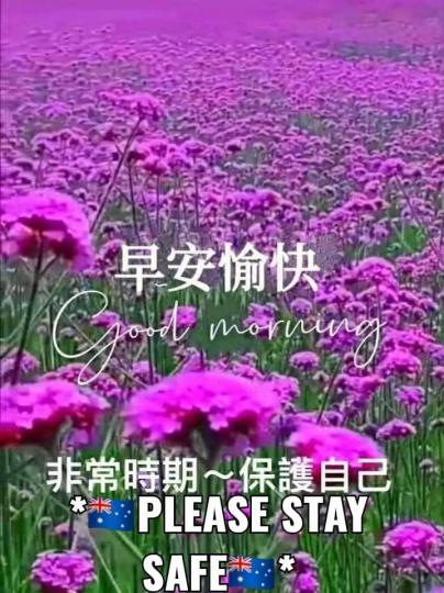 image%3A93843