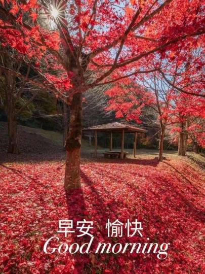 image%3A9587