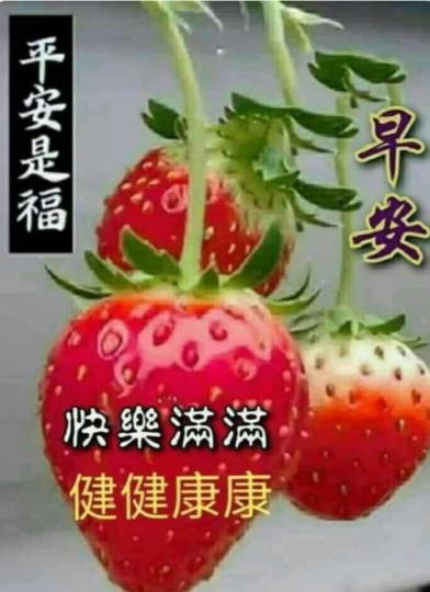 image%3A99472