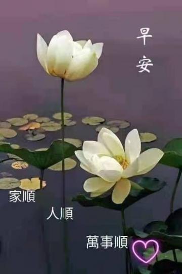 image%3A997