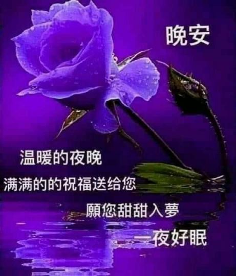 msf%3A23856_0