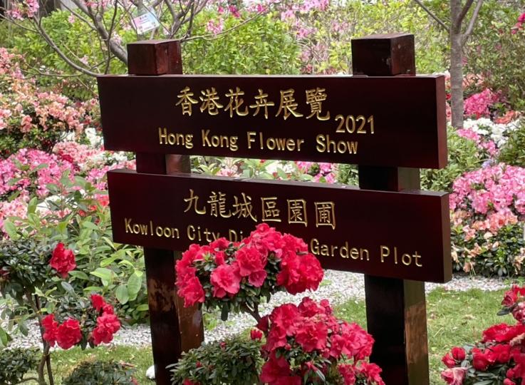 十八區都有公園設計精緻園圃供人影靚相...