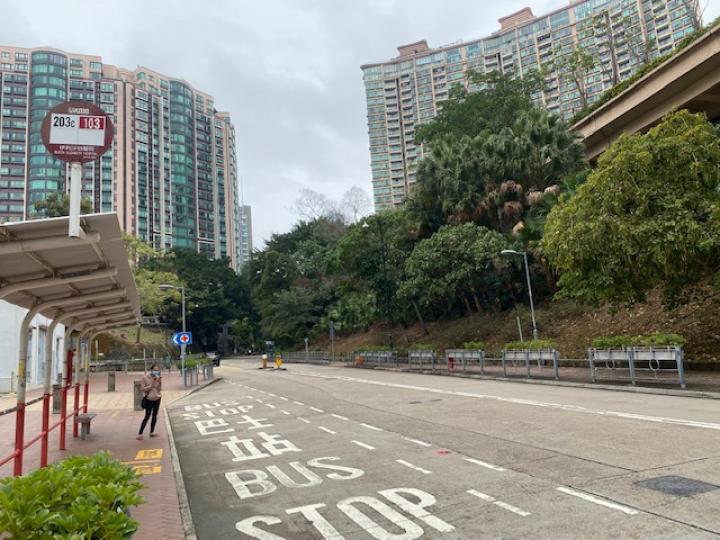我愛我的社區，純粹是住宅區，雖然沒有購物商舖，但可以步行前往附近購物當運動。...