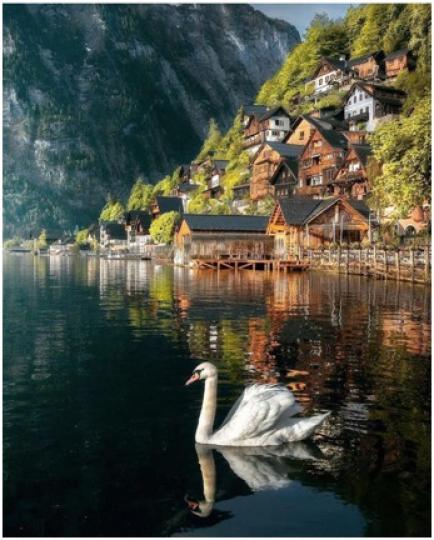 奧地利中部的 哈修塔特有歐洲「最美湖泊」的稱號。以狹長的傳統特色木屋村落，與依山傍水的自然美景著稱。天鵝為美景增添不同詩意...