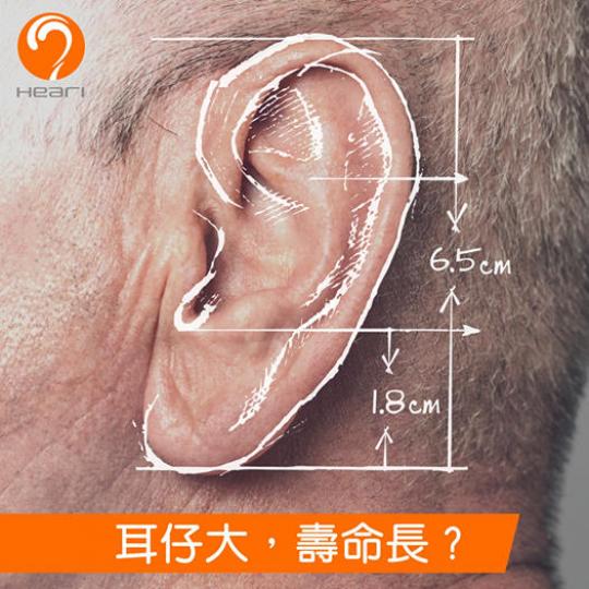 人嘅外耳會一直生長，但十歲後會變慢，每年大概生長0.22毫米，所以壽命長耳先會長得大。...