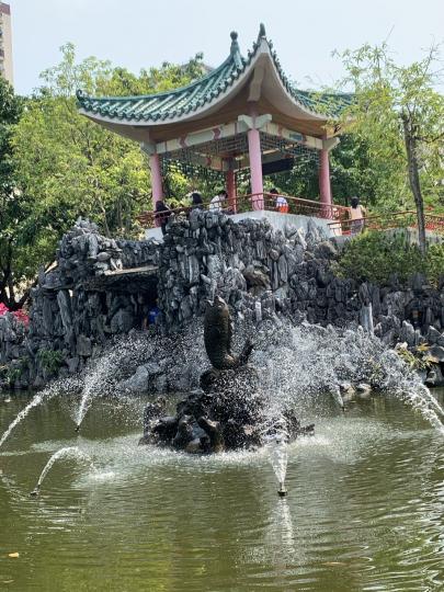祝福似鯉躍龍門精神爽利...