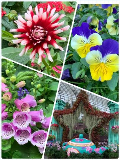 海濱花園
星加坡的海濱花園非常著名，花朵種類和品種多，令人大開眼界。...