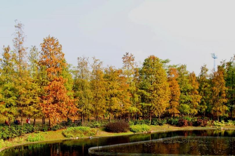 青衣公園
香港青衣公園秋色寧靜多美。...