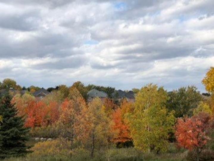 秋色如畫

加拿大秋天風景特別美，漫山紅葉，美得如畫一般。...