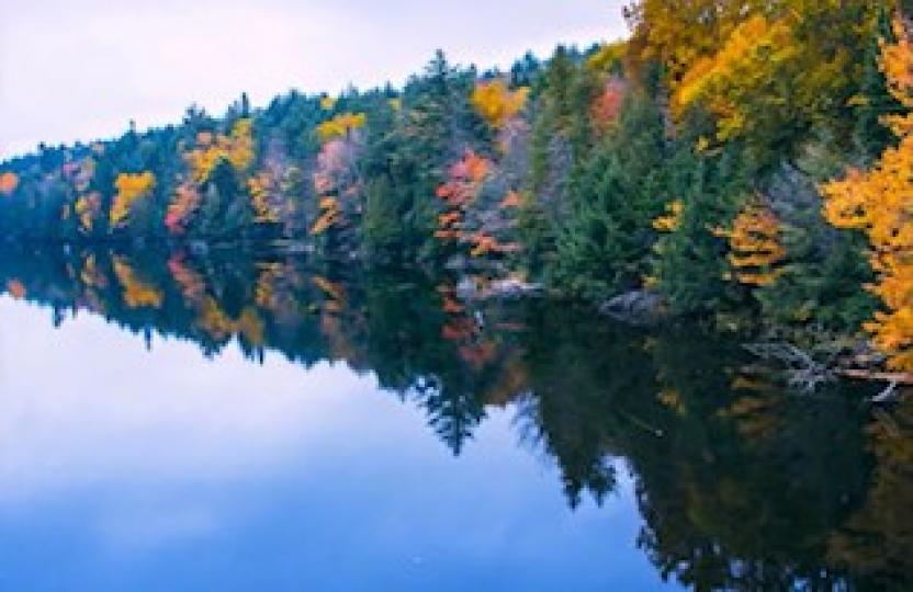 加國安省的秋天
加拿大安大略省的秋天天朗氣清，楓葉顏色美麗，近湖或河流的岸邊倒影很迷人。...
