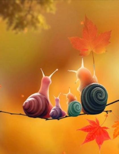 美麗的秋天

蝸牛也欣賞秋天的景色啊！...