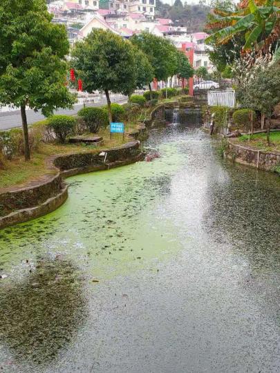 鄕間小區
中國地大物博，居住空間比香港寬闊得多，尤其是鄕間，有些小區城市設計好優雅，盡量利用天然河流和樹木去美化環境。...
