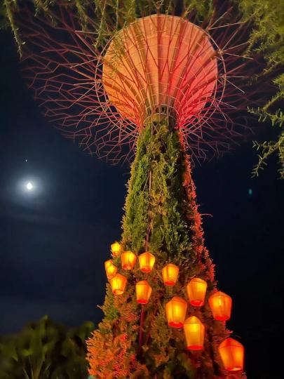 星加坡濱海花園
星加坡有不少華人，濱海花園也掛上了不少花燈。...
