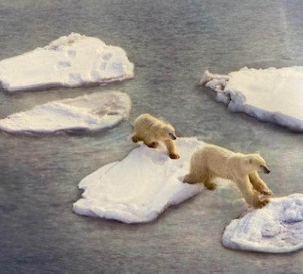 北冰洋北極熊

北極熊是地球上體型最大的熊，也是陸地上最大的食肉動物。他們能夠在惡劣酷寒的環境下生存，活動範圍主要在北極圈附近的北冰洋。...