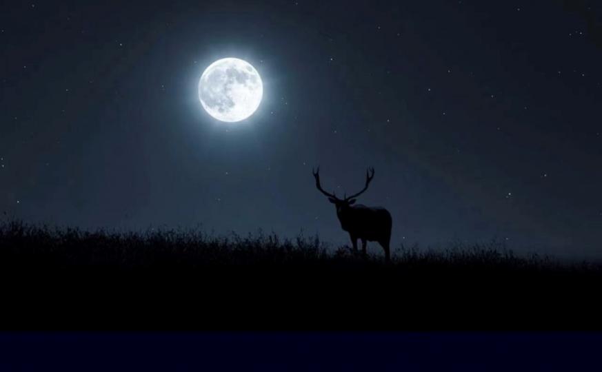 7 月的超級雄鹿月

今年最大最亮的滿月會是7月14日，即格林威治時間7 月13 日18:37分。那時超級月亮看起來將比平均滿月大7%，亮16%。...