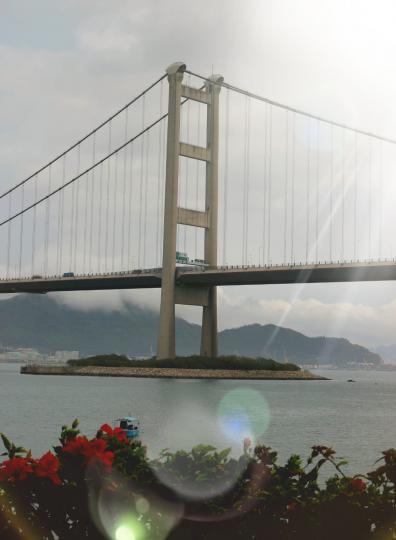 青馬橋

從這角度拍攝青馬橋，前景有花，主體是橋，背景是山和灰白的天空，構圖有心思。...
