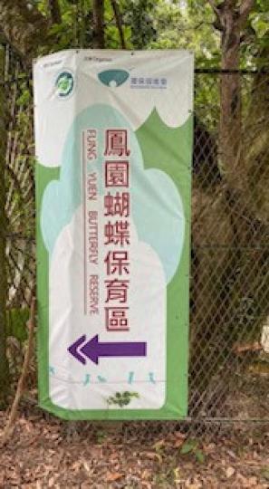 鳳園蝴蝶保育區
鳳園位於大埔市郊,園內有超過200個蝴蝶品種,佔全香港總數的八成,當中更有50種蝴蝶為本港不常見的品種。踏入鳳園,已經可發現蝶影處處,非常吸引。... 鳳園蝴蝶保育區
鳳園位於大埔市郊,園內有超過200個蝴蝶品種,佔全香港總數的八成,當中更有50種蝴蝶為本港不常見的品種。踏入鳳園,已經可發現蝶影處處,非常吸引。...
