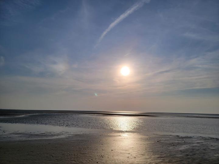 加國日落

在加國海灘看日落非常浪漫。...