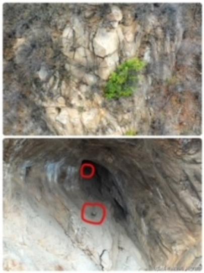 洛陽深山詭異洞穴無法攀爬 洞內疑有「懸棺」
欒州縣位於洛陽河南省。近日，用無人機採集欒川縣廟子鎮龍王幢村一帶伊河流域水流情況，在高度120米左右山壁上發現一處奇怪洞穴，洞穴左側岩壁上似乎有人為刻畫的痕...
