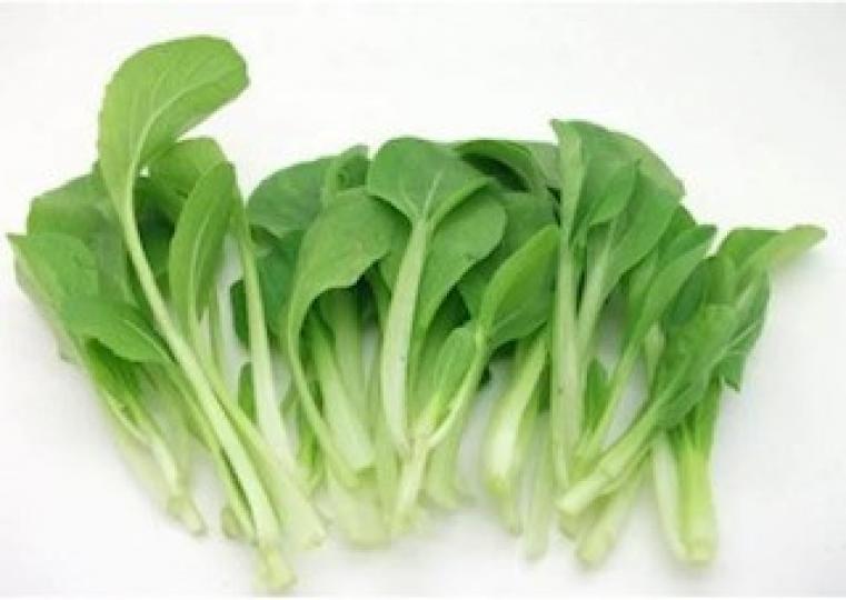 雞毛菜
雞毛菜又名青菜、小白菜、上海青,是十字花科蔬菜大白菜的變種,為含維生素和礦物質最豐富的蔬菜之一,而且雞毛菜是小白菜的嫩苗,口感和質地更為柔嫩,味道清香,是大眾特別喜歡的一種蔬菜。... 雞毛菜
雞毛菜又名青菜、小白菜、上海青,是十字花科蔬菜大白菜的變種,為含維生素和礦物質最豐富的蔬菜之一,而且雞毛菜是小白菜的嫩苗,口感和質地更為柔嫩,味道清香,是大眾特別喜歡的一種蔬菜。...