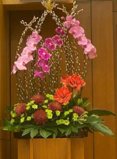 教壇佈置

新年教會教壇用了銀柳和蘭花為主花，插出一盤人人讚的款式。...