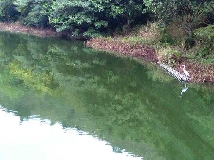 水清如鏡

水邊沒有甚麼特別花草樹木，勝在水清如鏡，難得這麼清潔的河水。...