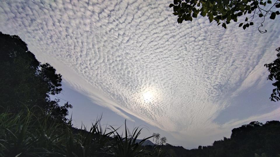 賞雲

今天有機會欣賞到魚鱗雲。...