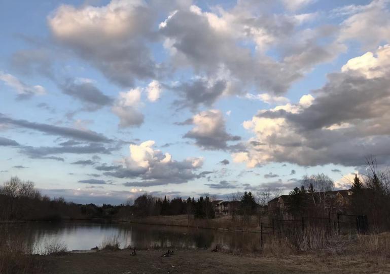 美麗的天空

我喜歡仰望天空賞雲。那些不同形狀的雲似是從四方奔向中心，不知中心有甚麼吸引呢？...