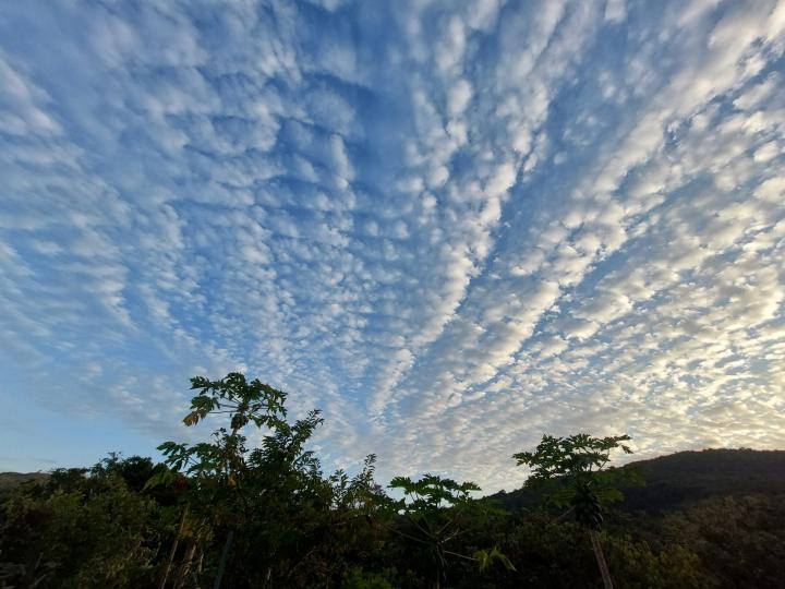 賞雲
當我抬頭仰望天空時總有驚喜，放射性似的雲展現在我眼前。...