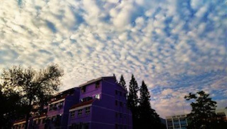 魚鱗雲
魚鱗雲專業術語叫透光高積雲，魚鱗狀的雲會呈現一排排一列列的，是強冷空氣到來時出現的一種雲層，預示著近期天氣狀況不穩定。...