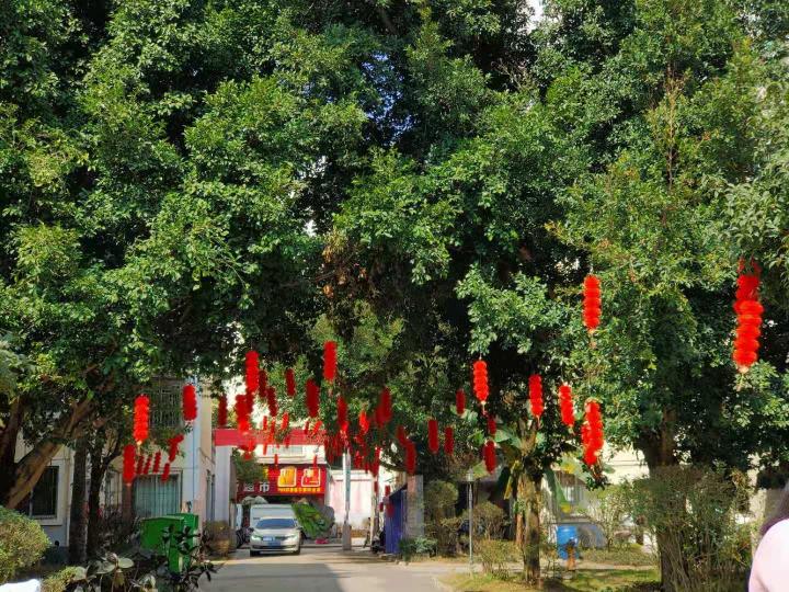 國內屋苑地方寬趟，新年將至，樹木多掛彩燈，很有節日氣氛。...
