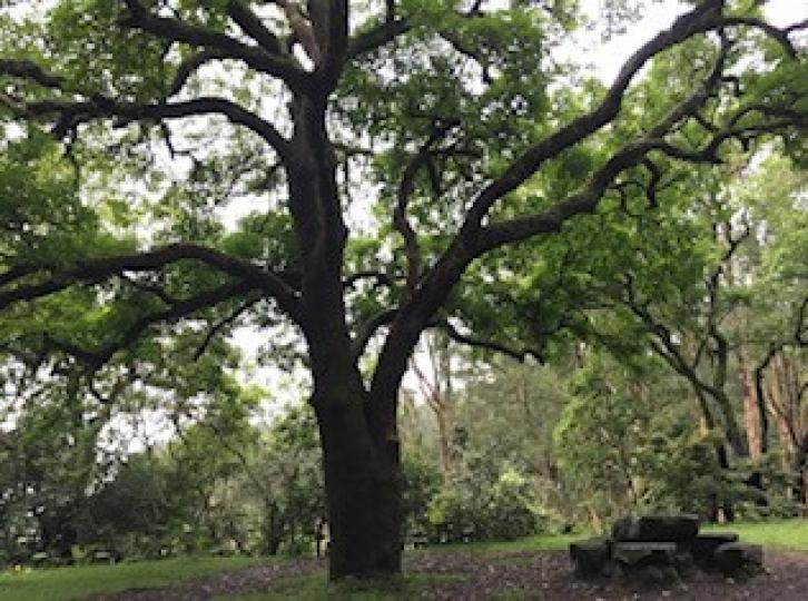 郊野公園

荃灣老圍段郊野公園清靜，亦是較少人去的。...
