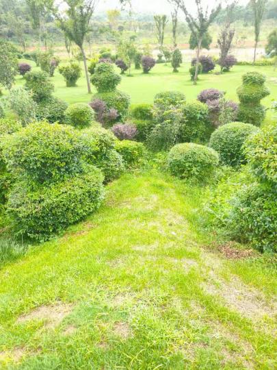 郊外公園

一般郊外公園雖然交通不便捷，但空氣和綠油油的草地能使人心礦神怡。...