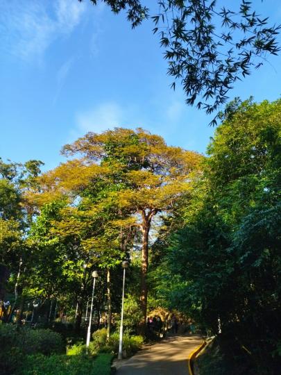 天氣回暖最適宜到郊遊，吸收新鮮空氣，還可以欣賞大自然美景。...