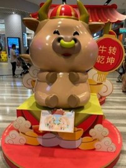 牛
十二生肖中，牛排第二。...