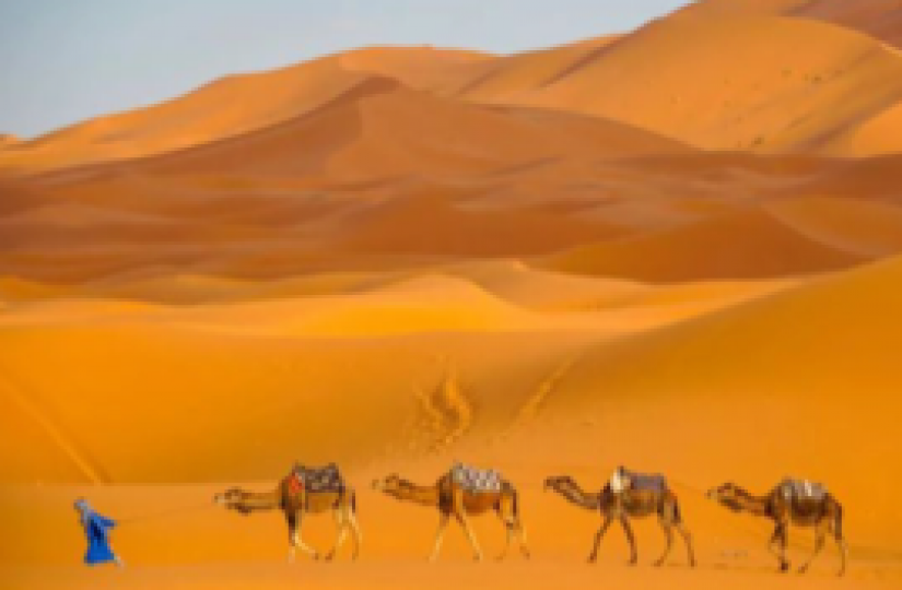 菲洲沙漠
撒哈拉沙漠是世界最熱的沙漠，同時也是世界上最大的沙漠。...