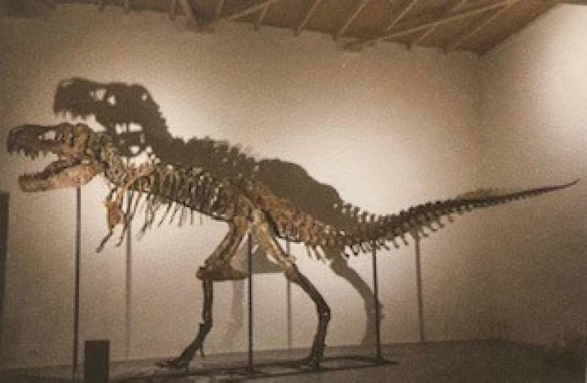 八大.尋龍記

香港賽馬會獨家贊助大型恐龍展覽，搜羅珍貴展品，首先同場展出八大極具代表性的完幅化石骨架：包括暴龍、三國龍、棘龍、異特龍、西龍、梁龍、哈特茲哥翼龍和幼齡蜥腳類恐龍。...