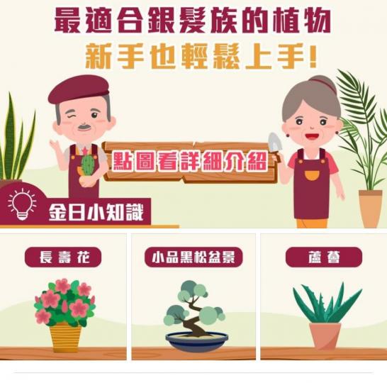 銀髪族種植資訊

園藝導師介紹三款最適合銀髪新手一族學習栽種小盆栽興趣的資訉。...