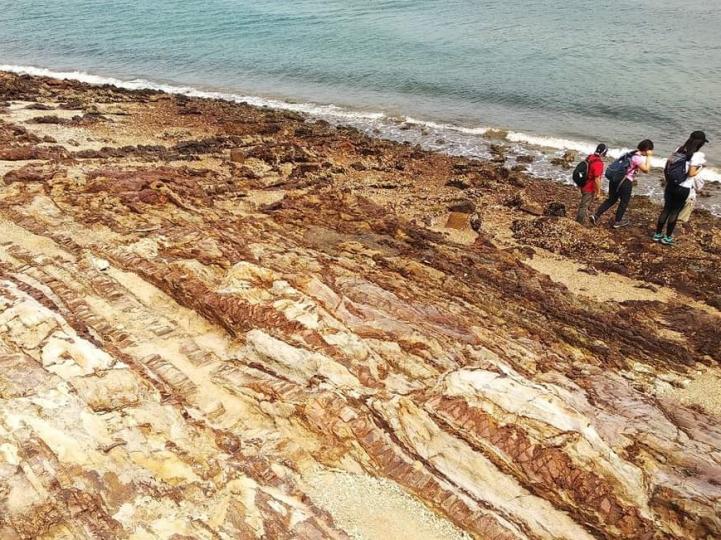 風化石

香港東面的海岸的旅游景點有很多風化石，喜歡地理的人士必定會賞石和考究原因。...
