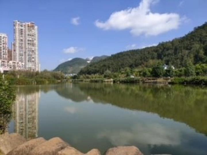 攝影新手
近日身邊拍友朋友興拍倒影，老師評這位自認新手合格。...