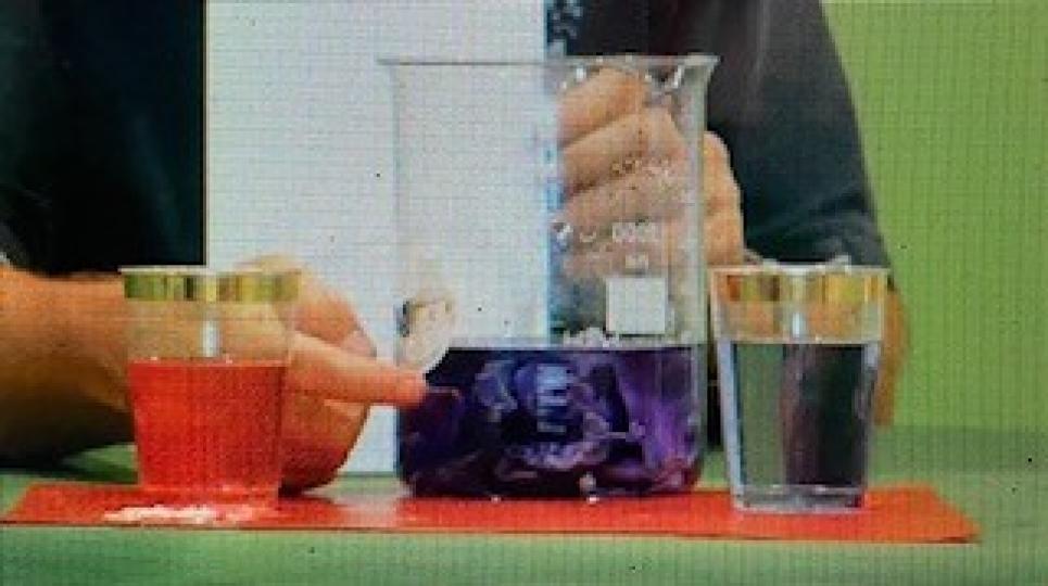 化學實驗

今午參加了網上科學週的「化學大搞作」工作坊，非常有趣，有溫故知新的感覺。...
