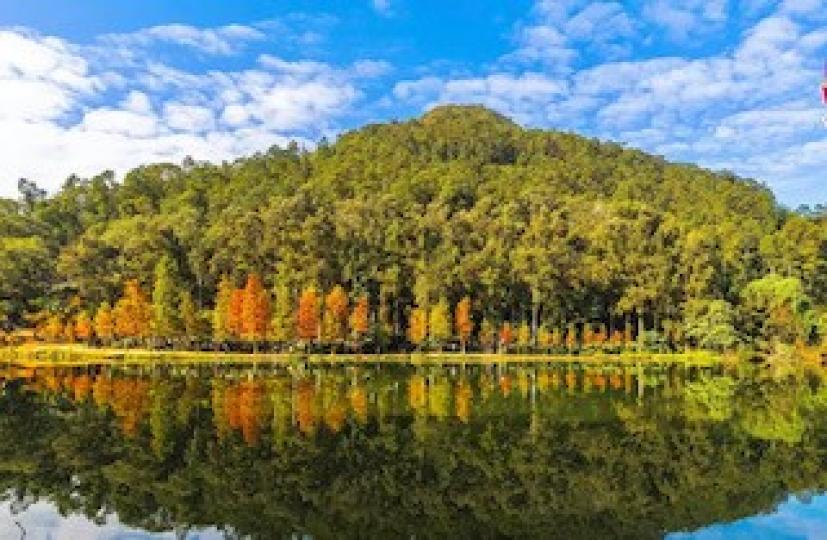 流水響水塘
流水響水塘被稱為「森林中的天空之鏡」，原因是流水響湖面倒影優美，山水一色。每年塘畔一排的落羽松在冬日轉紅，畫面美如畫。...