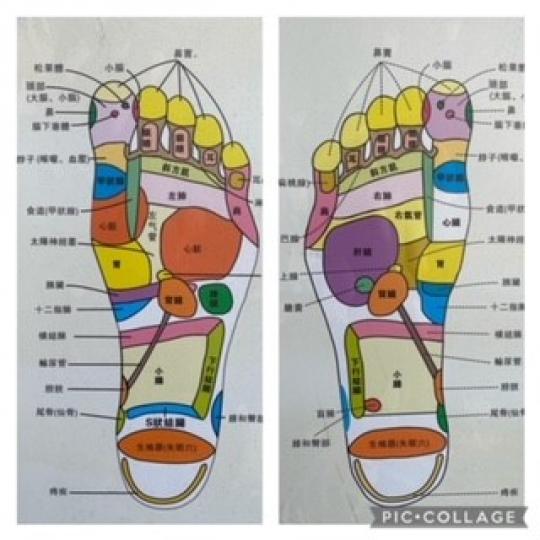 腳底五臟六腑反射區

雙腳腳底的反射區，左右併起來，就是身體臟器位置的縮影。所以，雙腳腳底反射區大多呈「左右對稱」，只有中段區塊不同。...