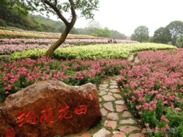 花田

春回大地，大自然充滿生機。公園內各種各樣的花都盛開，怪不得此公園花圃稱之為花田，有一望無際的感覺。...