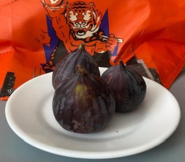 毛花果
無花果當中含大量的醣類、維生素以及胺基酸、蘋果酸、檸檬酸、水解酶,還有豐富的礦物質硒、膳食纖維等,具有抗發炎、消水腫、促進消化、抗癌、降血壓及降血糖、潤腸通便等功效。... 毛花果
無花果當中含大量的醣類、維生素以及胺基酸、蘋果酸、檸檬酸、水解酶,還有豐富的礦物質硒、膳食纖維等,具有抗發炎、消水腫、促進消化、抗癌、降血壓及降血糖、潤腸通便等功效。...